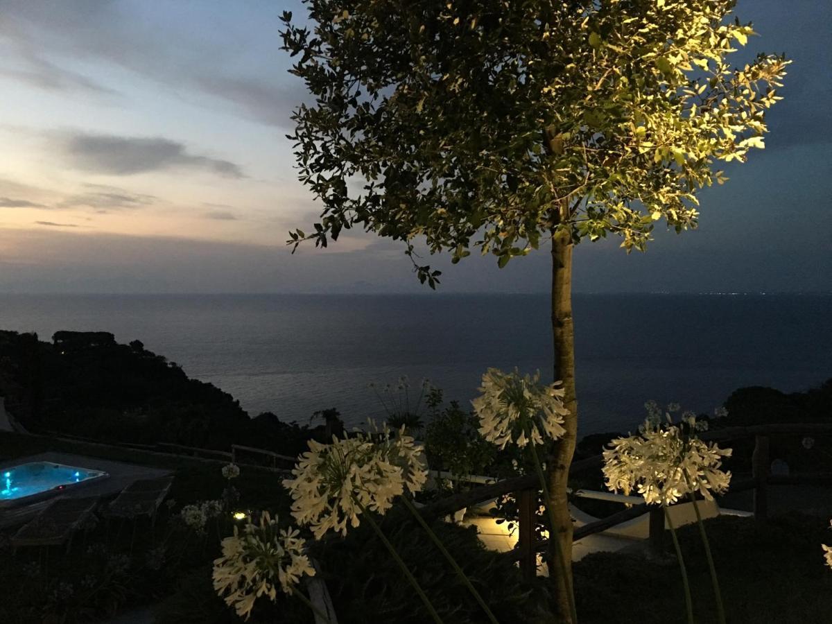 كازاميتْشيولا تيرمي Agapanto Luxury Accommodation المظهر الخارجي الصورة
