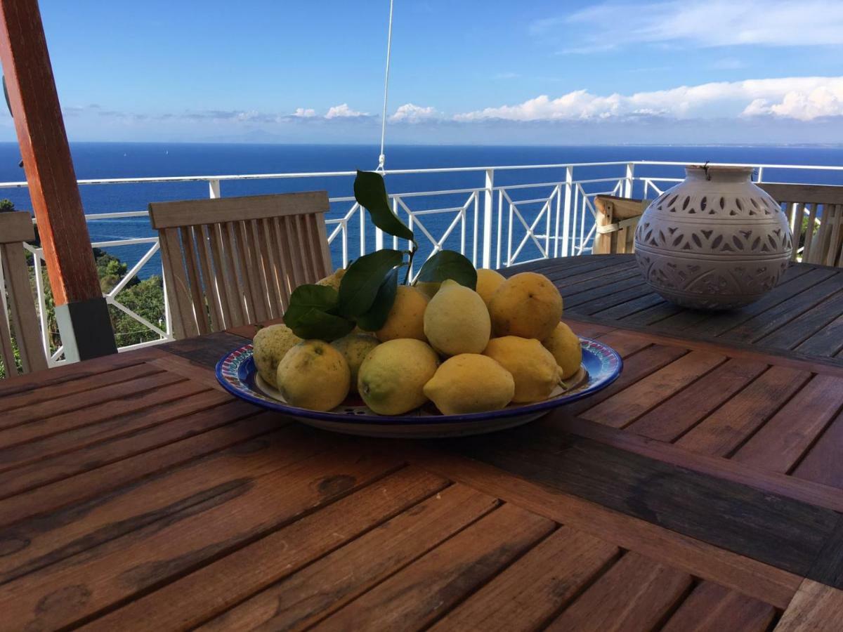 كازاميتْشيولا تيرمي Agapanto Luxury Accommodation المظهر الخارجي الصورة